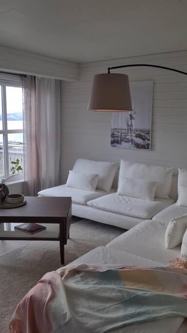 Narvik Mountain Homes Spectacular View House Exteriör bild
